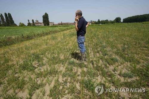 전세계 '밥상 위기'…기후변화에 농작물 수확 감소 지속 우려