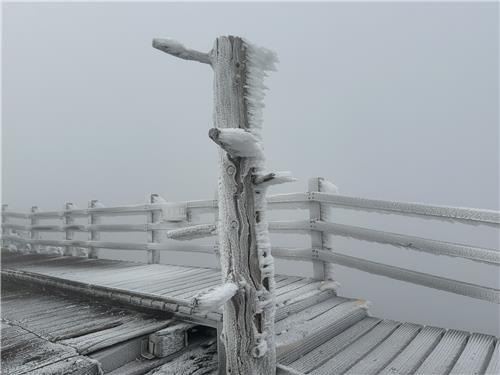 "땀 식는데 한시간 대기줄" 백록담 표지석 기념촬영 전쟁