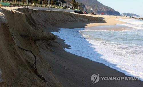 정동진 해변 유실 막는다…해수부, 정비 사업 착수