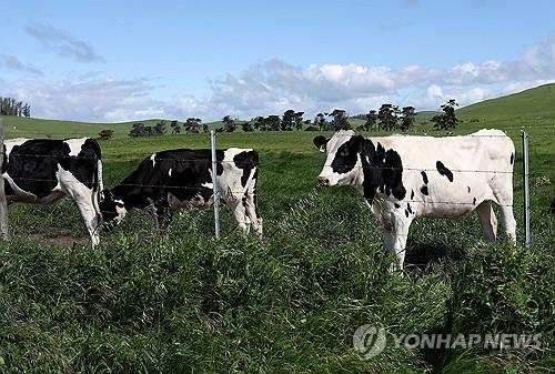 미국서 조류인플루엔자 네번째 인체 감염