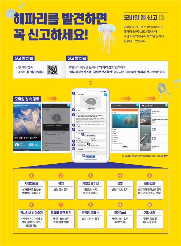 제주 전 해역에 노무라입깃해파리 주의 단계 특보