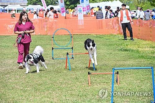 [전국 레이더] 전용 해수욕장에 테마파크까지…반려동물 친화정책 봇물