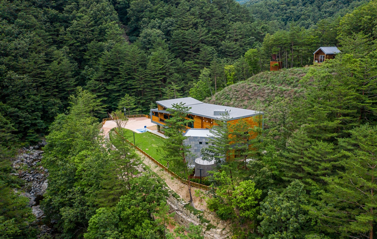 "삼척 치유의 숲에서 활기 찾으세요" 요금면제 대상 확대