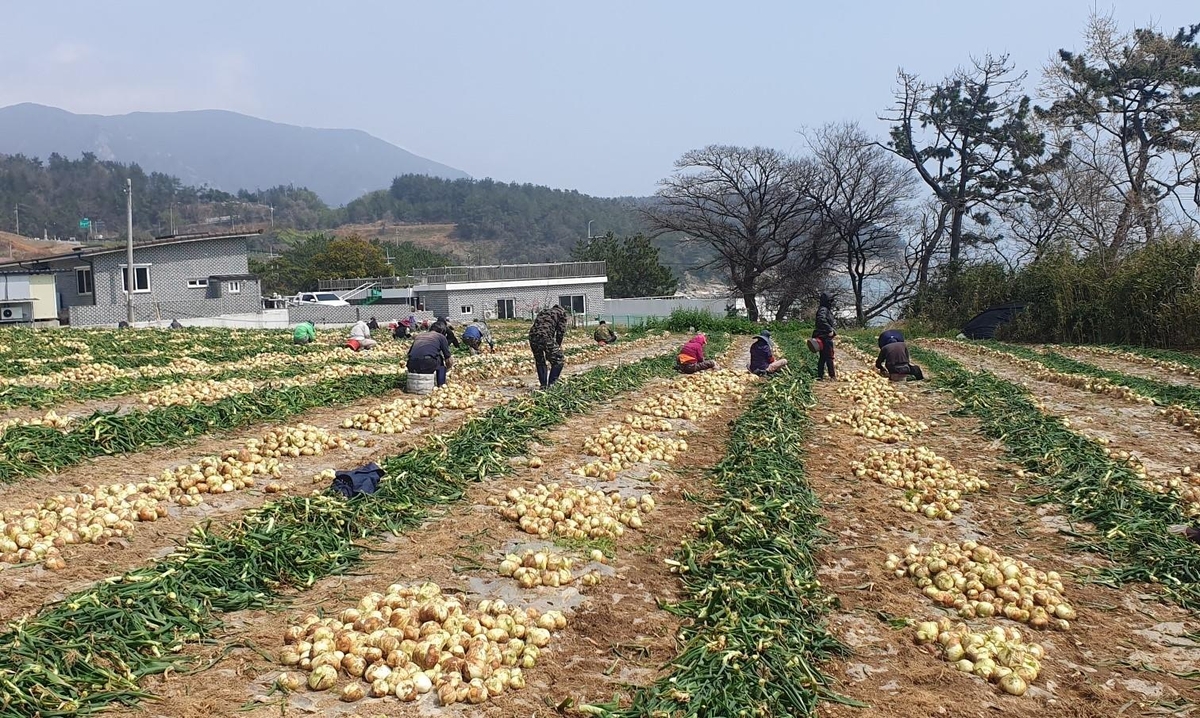 전남도, 농업인 안전보험 가입 권유…보험료 80% 지원