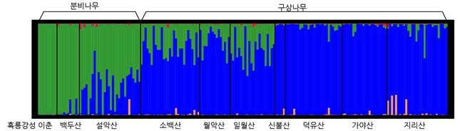 "한반도 비롯 동북아 식물 다양한 이유는 '복잡한 지형' 영향"