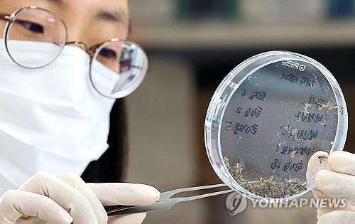 강원도, 철원에 말라리아 경보…"모기에 물리지 않는 게 최선"