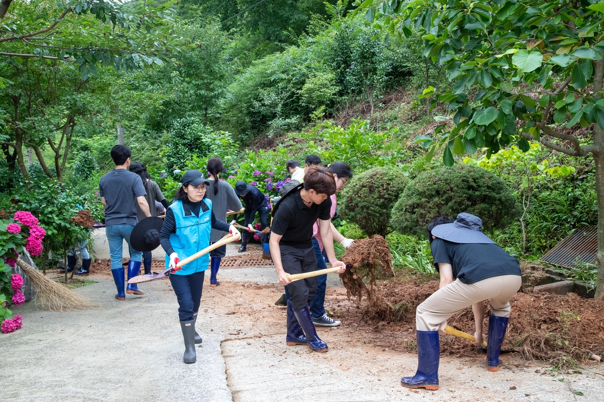 사전대비로 폭우 피해 줄인 군산, 시설 339건·농작물 235ha 피해(종합)