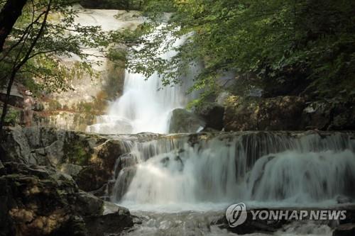 강원 인제·양구 오전 10시 폭염주의보