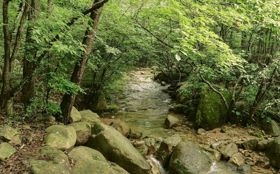 강진군, 월출산 경포대 계곡 내달 18일까지 개방