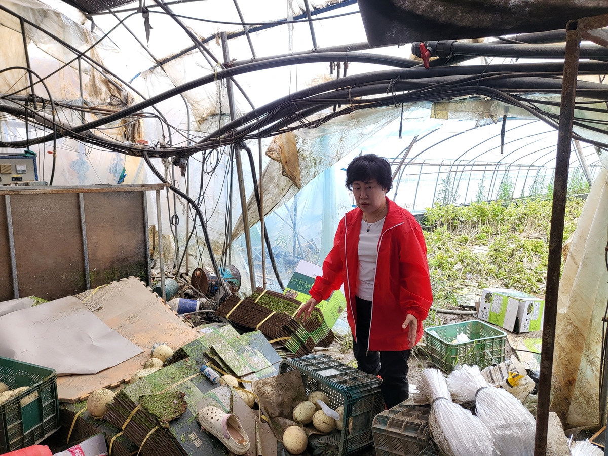 조배숙 국힘 전북도당위원장 "특별재난지역 선포 건의할 것"