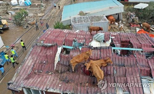 '구례군 수해보조금 유용 제보자는 누구'…1·2심 판단 엇갈려