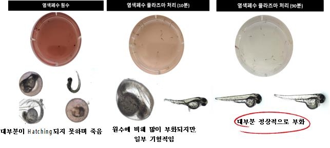 정화한 방류수에 남아있는 오염물질 플라스마로 없앤다