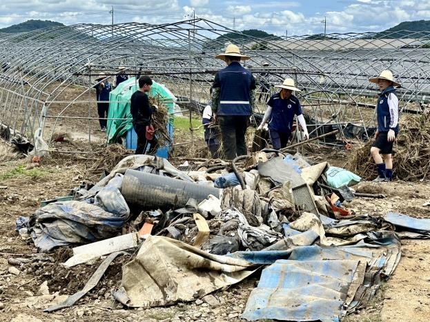 충남 집중호우 피해 농가에 복구 일손 돕기 이어져