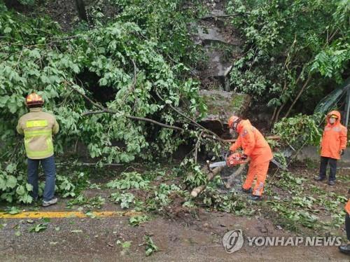 인제군 서화면서 낙석 사고, 차량 통행 통제…응급 복구작업