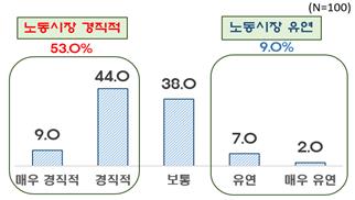 외국 투자기업 53% "韓노동시장 경직적"…63%는 "노사 대립적"