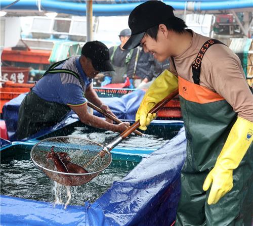 태안 신진도서 8월 2∼4일 오징어&수산물 축제