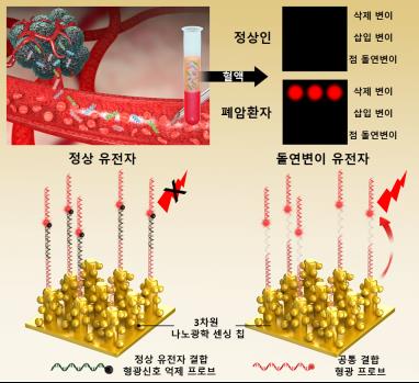 혈액 내 암 돌연변이 유전자 잡아낸다…재료연, 검출 기술 개발