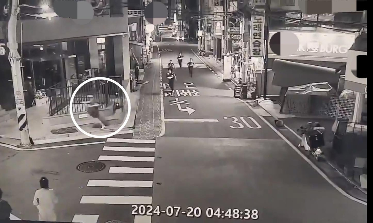 "왜 사진찍고 다니지?"…새벽 CCTV 딱 걸린 '던지기' 마약사범