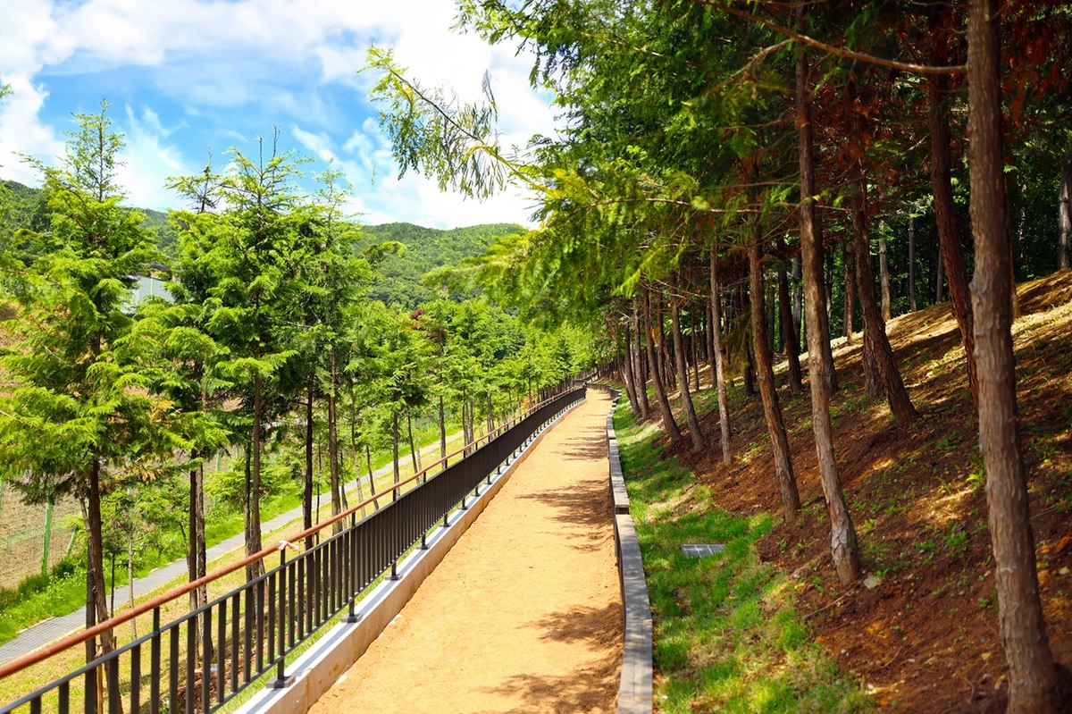 구로구, 연지근린공원 황톳길에 야간조명 설치한다