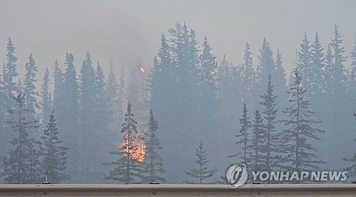 캐나다 로키산맥 국립공원 산불…주민·방문객 2만5천명 대피