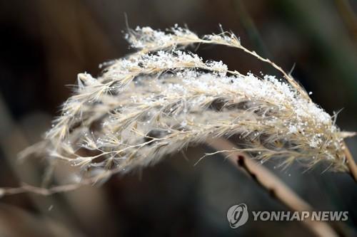 언니의 죽음, 아들의 유전병…삶이 뼈를 때릴 때 찾아온 위로