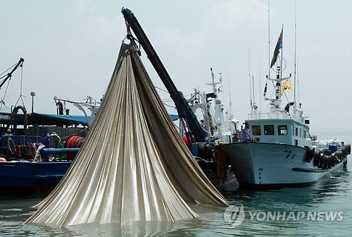 장마·고유가·고수온 '삼중고'…멸치업계 조업 시작부터 한숨