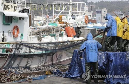 장마·고유가·고수온 '삼중고'…멸치업계 조업 시작부터 한숨