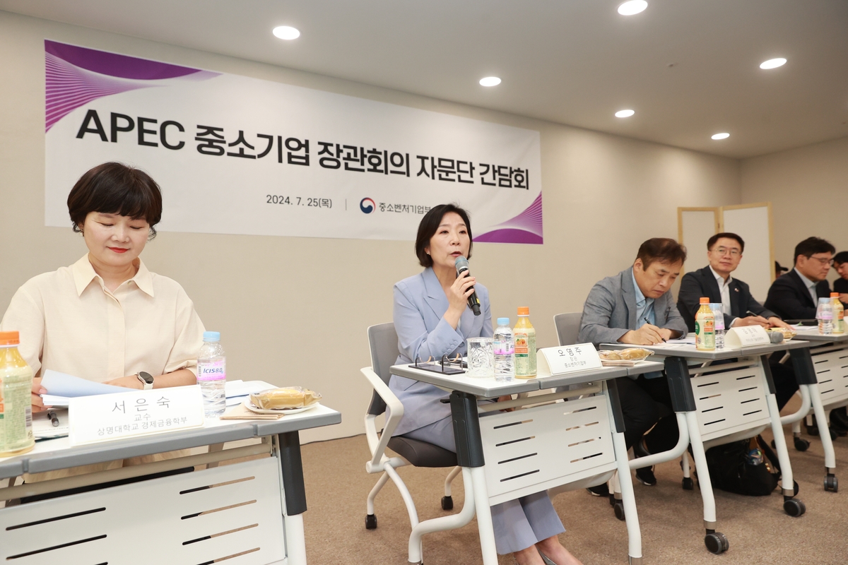 중기부, 내년 APEC 중소기업 장관회의 준비…민간 자문단 간담회