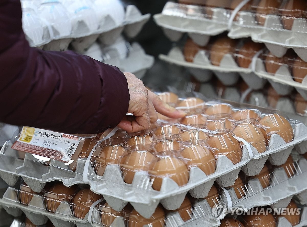 '깜깜이' 달걀 산지값 고시, 60년만에 일원화한다…권역 나누고 표준계약서 도입