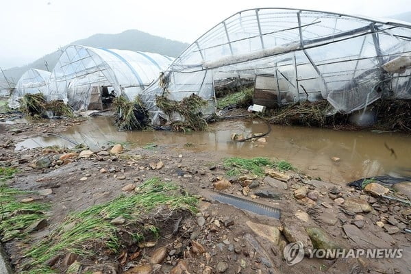 장마에 축구장 1만3000개 농작물 침수…물가 예의주시