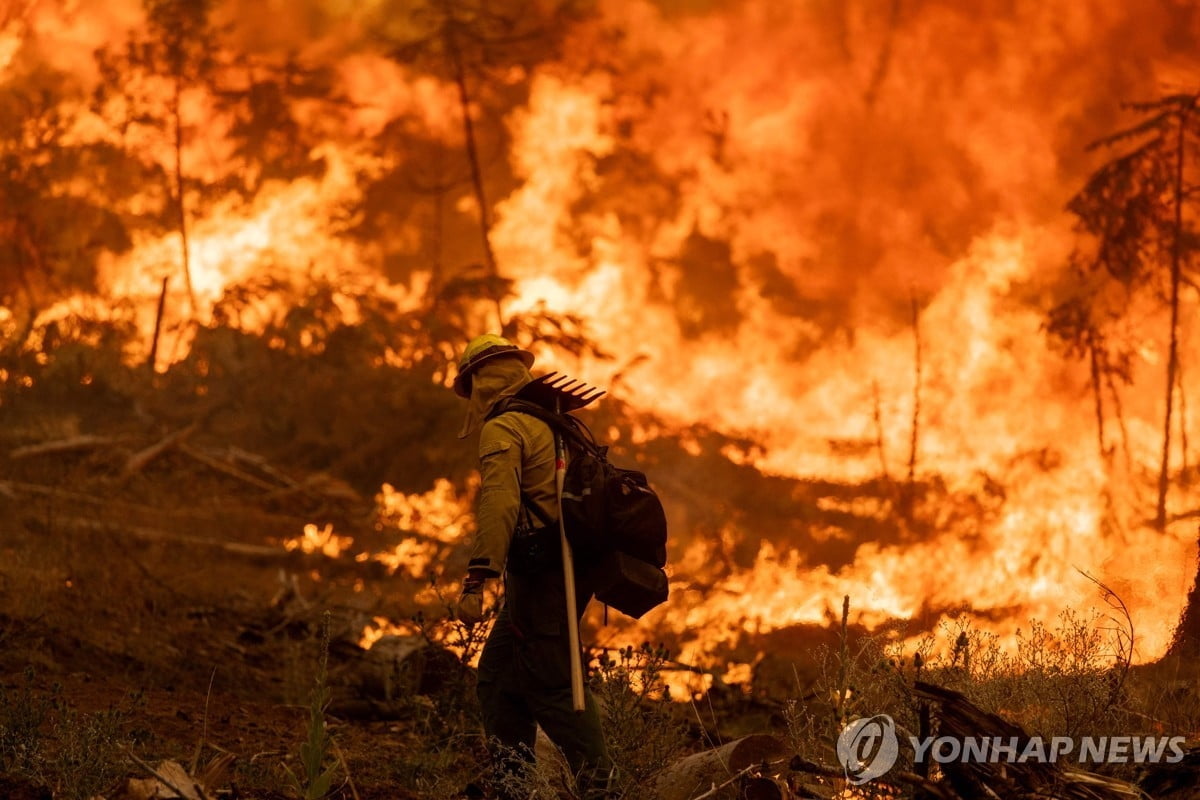 美 역대급 산불 터졌다..加 재스퍼 100년만 최대 피해