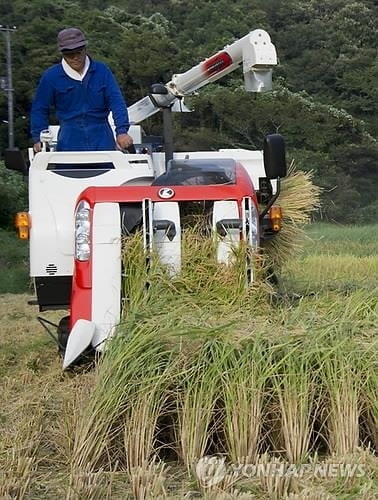 너도나도 가더니…일본 '밥쌀' 수요 쑥