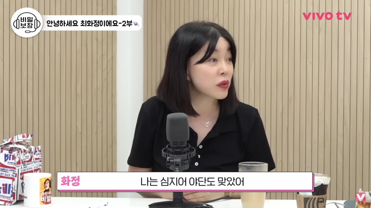 / 사진=유튜브 채널 '비보TV'