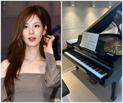 소녀시대 서현, 성공했네…34세에 '억' 소리 나는 취미 자랑