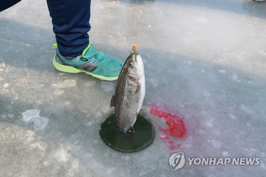 "강원 축제 10곳 중 4곳 방문객·관광업 매출 증대 효과 부진"