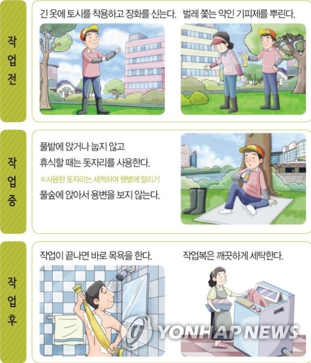 '진드기 조심' 전남서 올해 첫 SFTS 사망자 발생