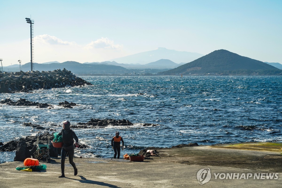 맨몸 물질에 연소득 684만원,제주 신참 해녀 4년만에 반토막