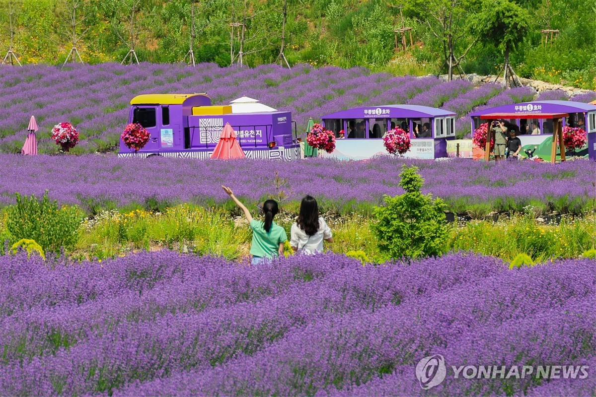 동해시 '전국 10대 관광도시 2천만 관광객 시대' 추진