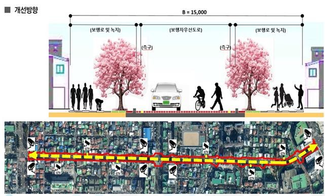 제주 벚꽃길 전농로 보행자 위주로 전환…시속 20㎞ 제한