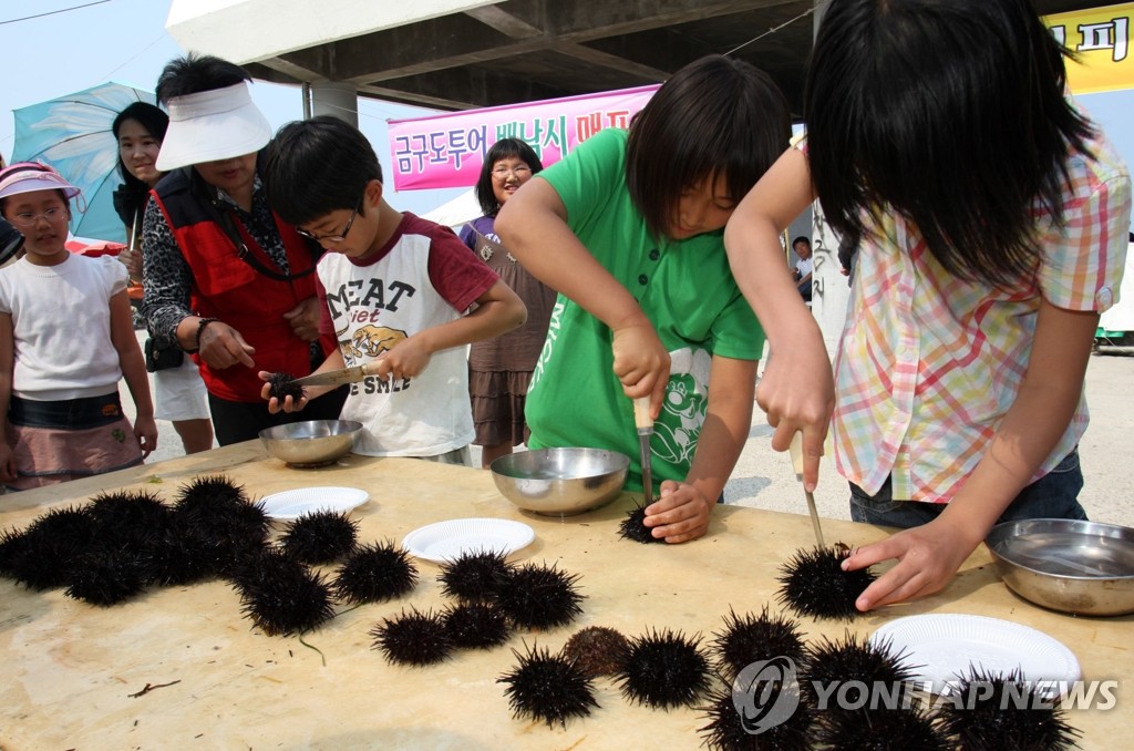 '바다향이 입 속 가득' 강원 고성군, 제8회 초도 성게 축제