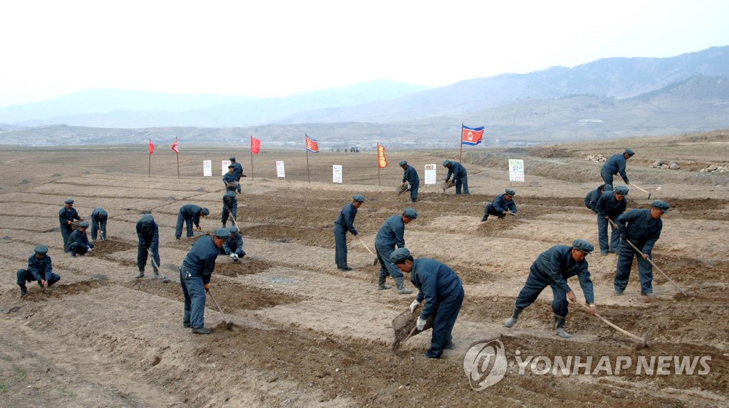 "다쳐서 일 못하면 돈 내고 빠지라 해"…北강제노동 실태 보고서(종합)