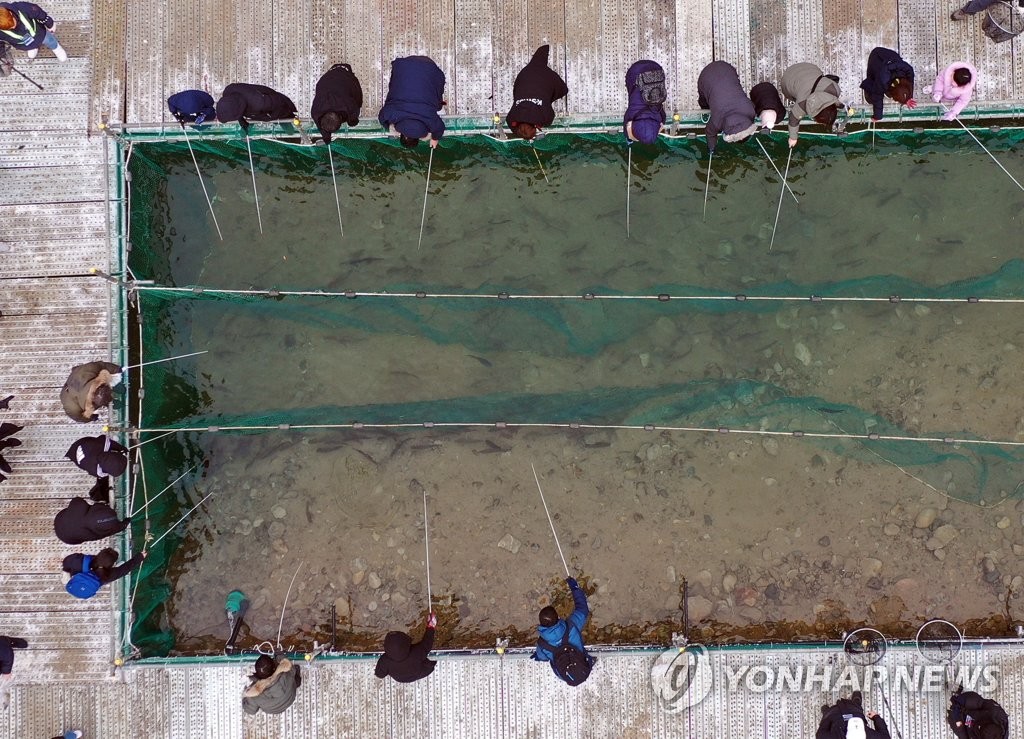 "강원 축제 10곳 중 4곳 방문객·관광업 매출 증대 효과 부진"