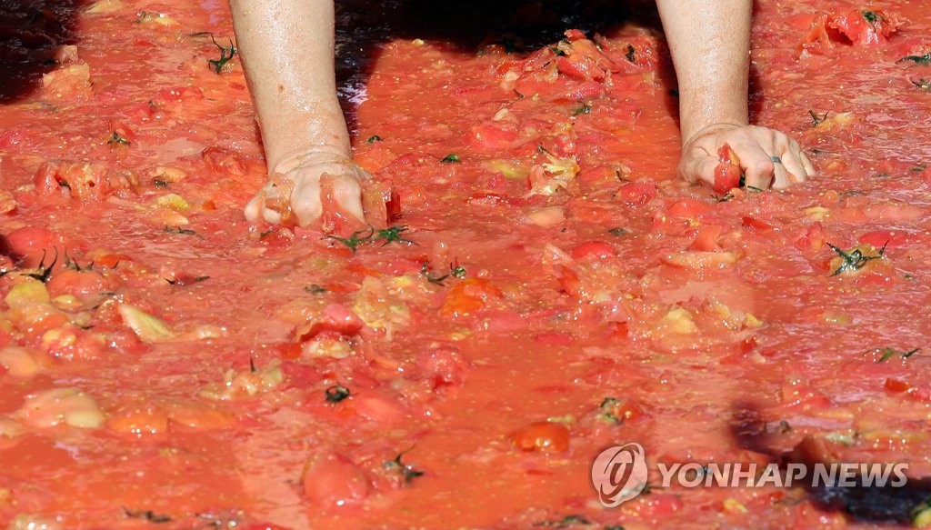 '황금반지를 찾아라' 화천토마토축제 내달 1일 개막