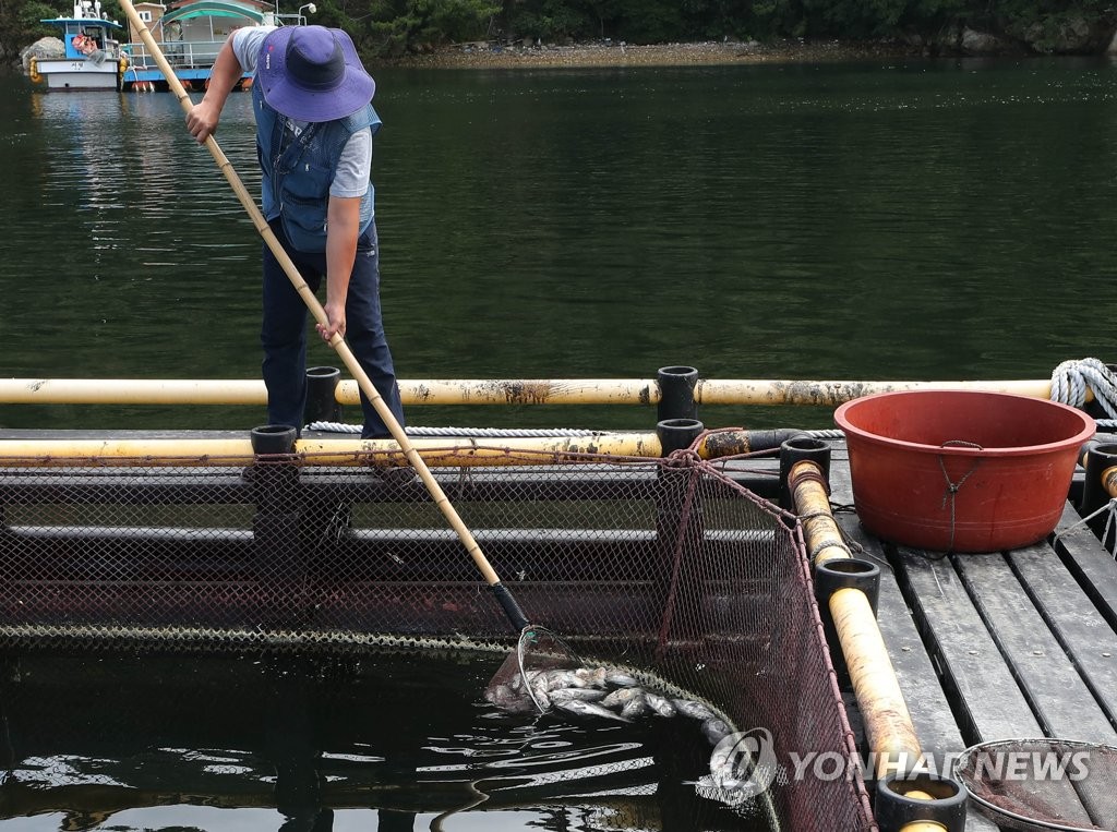 해수부, 고수온 위기 경보 '경계' 발령