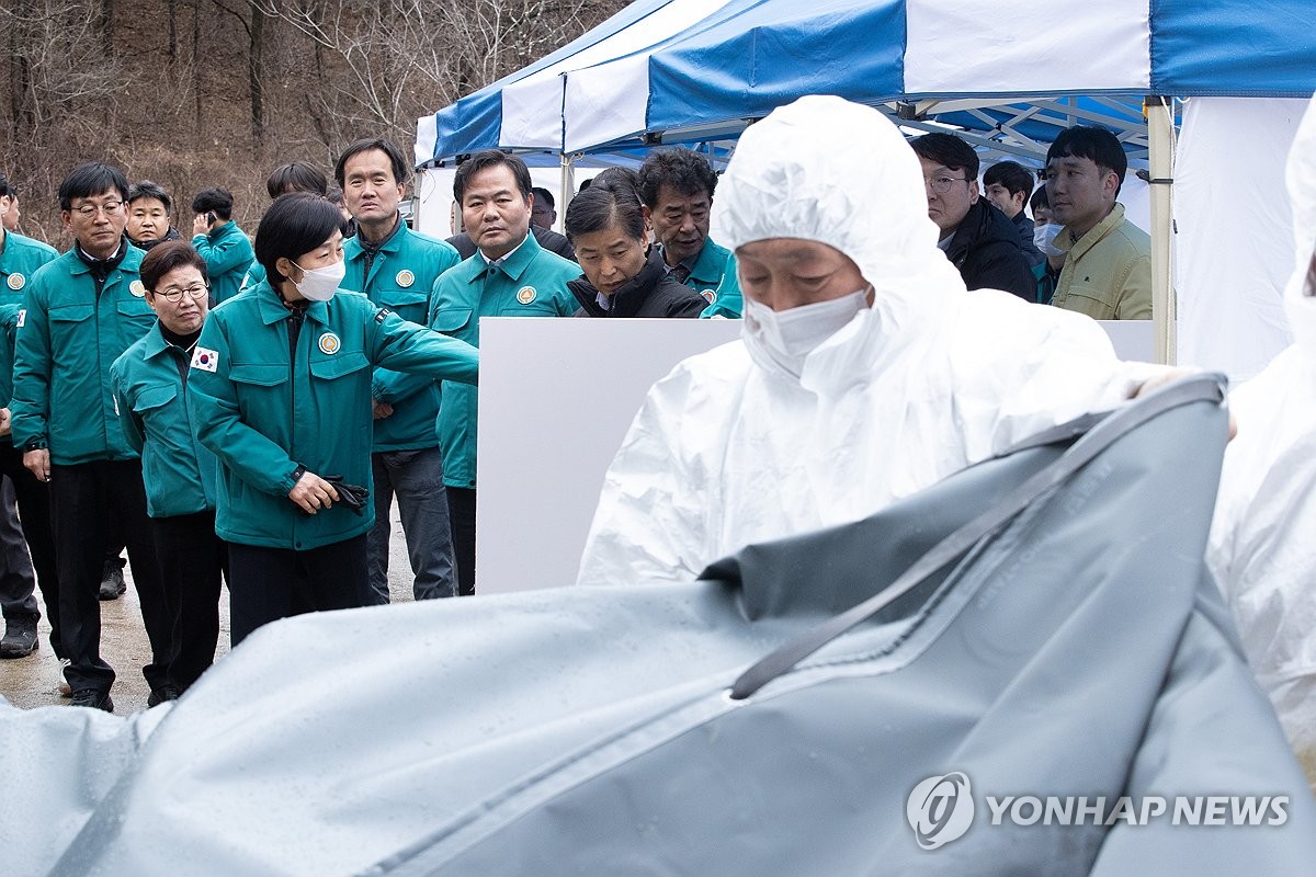 아프리카돼지열병 확산 저지…경북 서남부 9개 시군서 총력대응