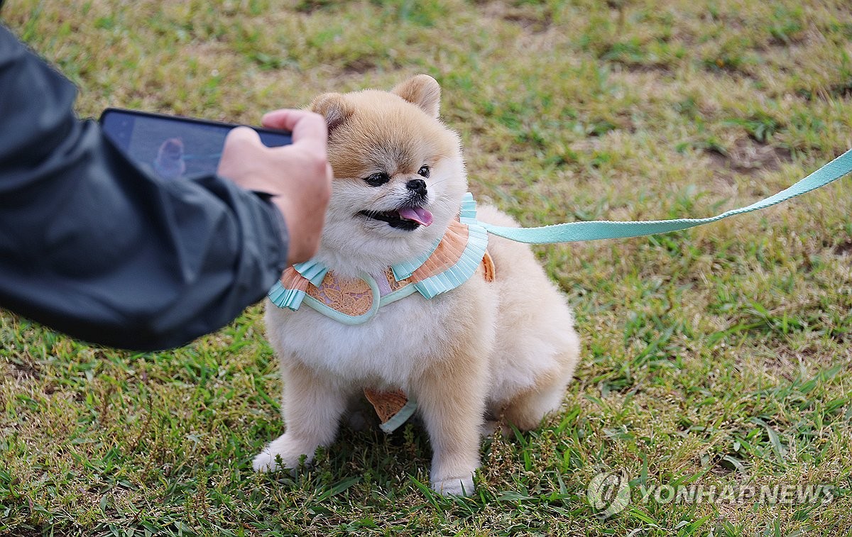 작년 반려견·반려묘 27만마리 등록…329만마리로 늘어