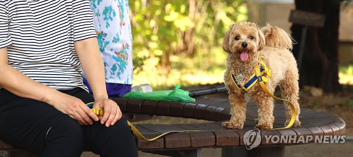 반려견 유치원 다섯 곳 중 두 곳, 중도 해지때 '환불 불가'