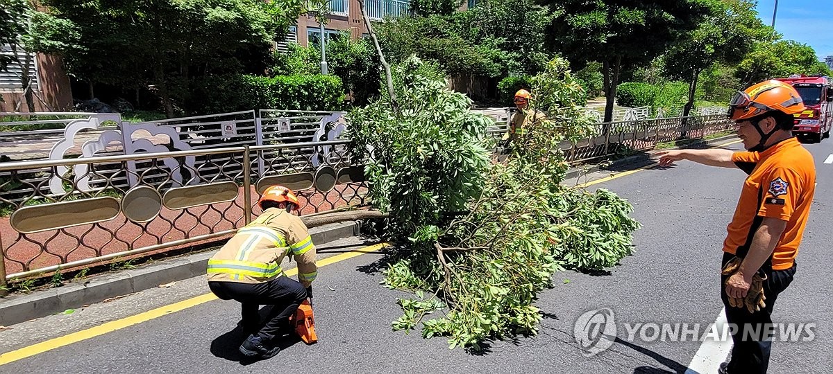 제주 '태풍급 강풍' 몰아쳐…제주공항 결항·지연 속출(종합2보)