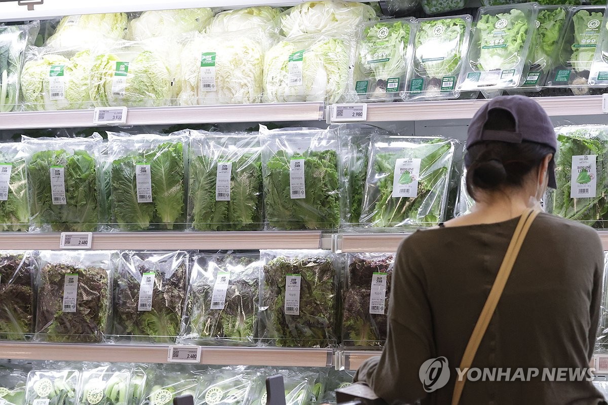 폭우 피해로 채솟값 오름세…상추 가격 1주새 63%↑