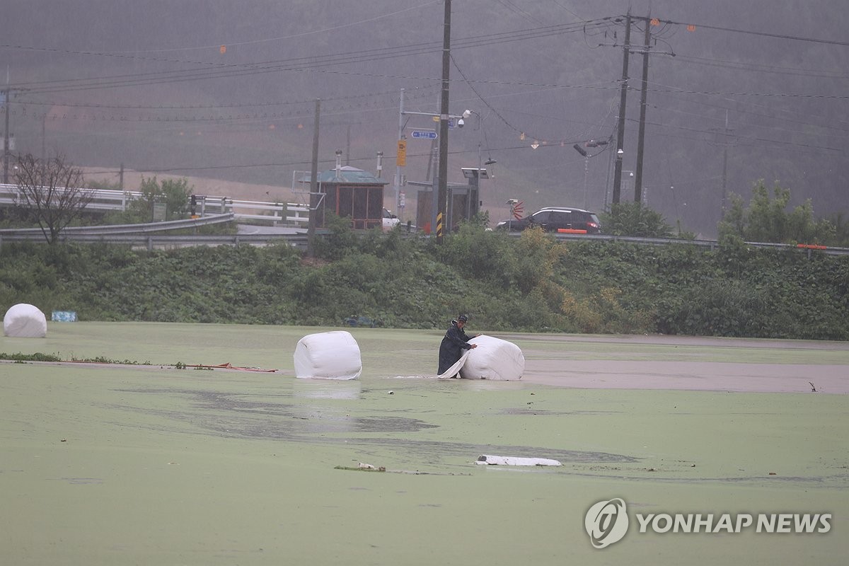 호우로 축구장 1만3천개 농작물 침수…"가격 영향 크지 않을 것"(종합)